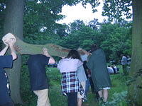 img 0644