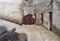 zoo38